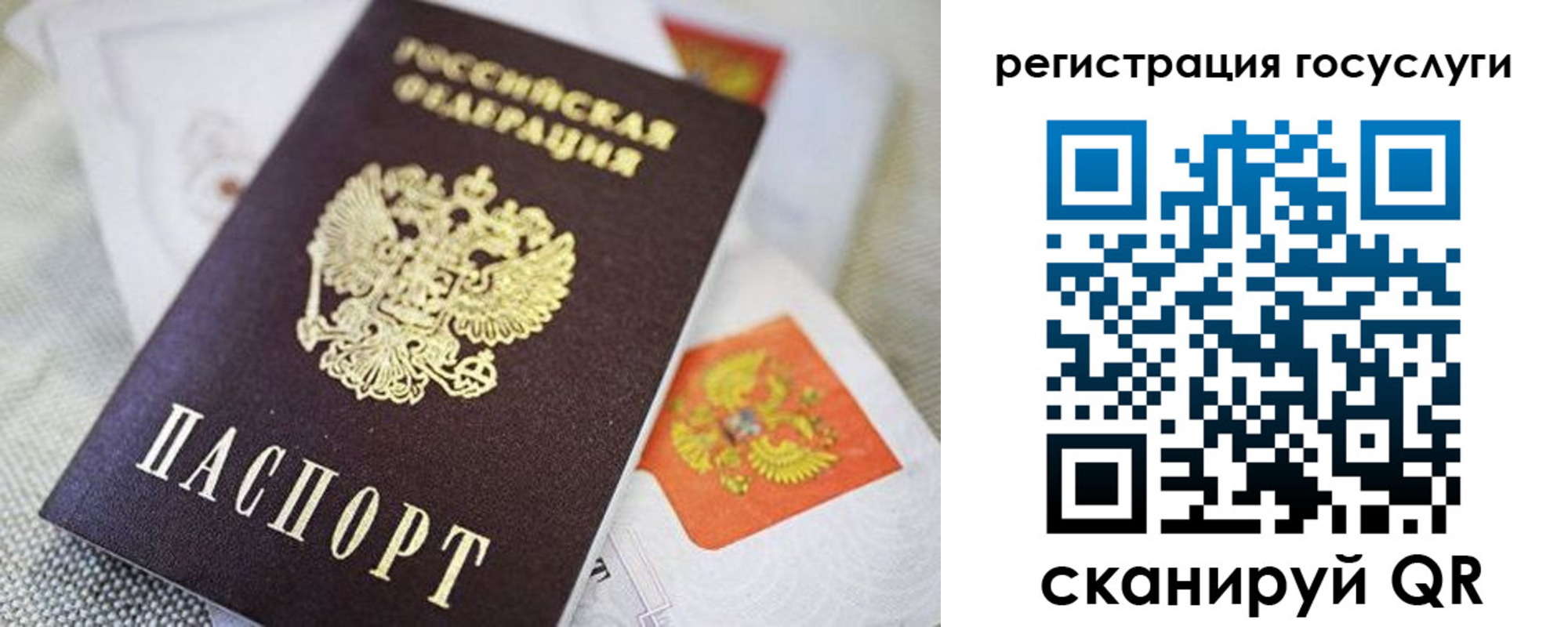 прописка паспорт в Куртамыше